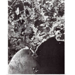 Prouts Neck, ME (1975, 24000-Scale) Preview 1