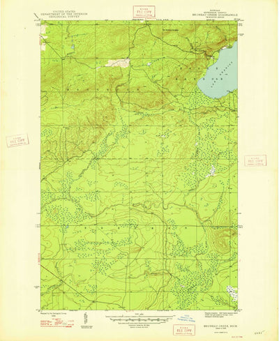 Bruneau Creek, MI (1948, 24000-Scale) Preview 1