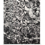 Troy, MO (1979, 24000-Scale) Preview 1