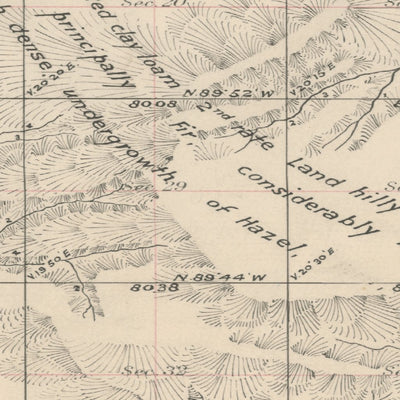 Historic Forest Grove Area