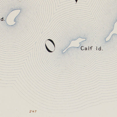 NY-STONY ISLAND: Authoritative US Topos Historic 1895