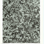 Bessemer City, NC (1976, 24000-Scale) Preview 1