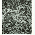 Elkin South, NC (1976, 24000-Scale) Preview 1