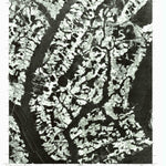 Fairmont, NC (1976, 24000-Scale) Preview 1