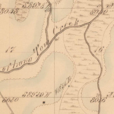 Historic Fern Ridge Area Before Dam Map by Bygone Maps, LLC | Avenza Maps