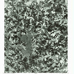 Waco, NC (1976, 24000-Scale) Preview 1