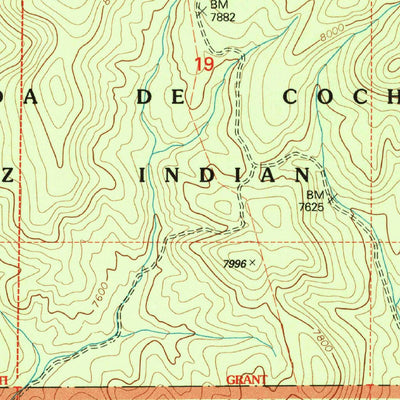 Bear Springs Peak, NM (2002, 24000-Scale) Preview 2