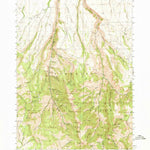 Jarbidge, NV-ID (1943, 62500-Scale) Preview 1