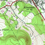 Altamont, NY (1944, 24000-Scale) Preview 3