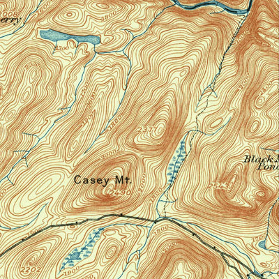 Newcomb, NY (1901, 62500-Scale) Preview 3
