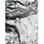 The Dalles North, OR-WA (1975, 24000-Scale) Preview 1