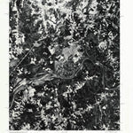 Brosville, VA-NC (1977, 24000-Scale) Preview 1