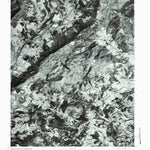 Stewartsville, VA (1977, 24000-Scale) Preview 1