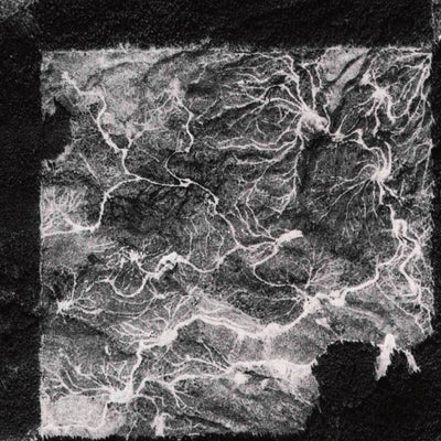 Cedar Flats, WA (1975, 24000-Scale) Preview 3