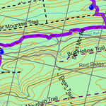 Reeds Gap Spur & White Mountain Ridge Trail