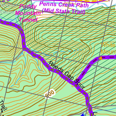 Reeds Gap Spur & White Mountain Ridge Trail
