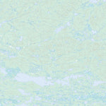 Unnamed, NL (013B14 Toporama)
