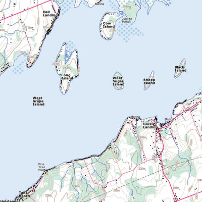 Rice Lake, ON (031D01 Toporama)