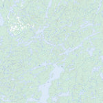 Lac Winawash, QC (031M08 Toporama)
