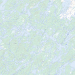Lac Bellinger, QC (032O08 Toporama)