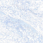 Nukvuk Lake (036F01 Toporama)