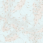 Unnamed, NU (038C02 Toporama)