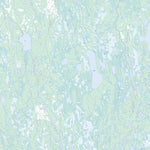 Mcparlon Lake, ON (042I02 Toporama)