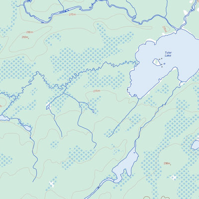 Tyler Lake, ON (042M03 Toporama)