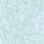 Unnamed, ON (043C10 Toporama)