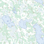 Aikens Lake, MB (052M03 Toporama)