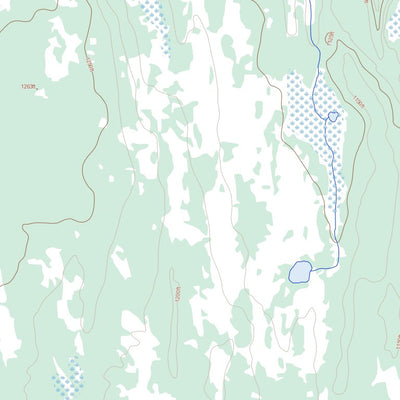 Saunders Lake (063L06 Toporama)