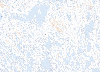 Unnamed (067D07 Toporama)