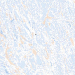 Unnamed, NU (067A15 Toporama)
