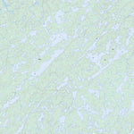 Paull Lake, SK (074A02 Toporama)