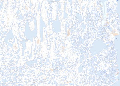 Unnamed, NU (067C05 Toporama)