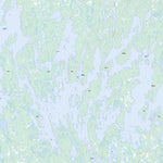 Frobisher Lake, SK (074C08 Toporama)