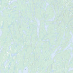 Studer Lake, SK (074B03 Toporama)
