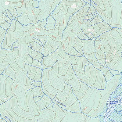Cariboo Lake, BC (093A14 Toporama)