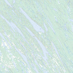Unnamed, NT (085M12 Toporama)