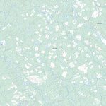 Averil Lake, BC (093J08 Toporama)