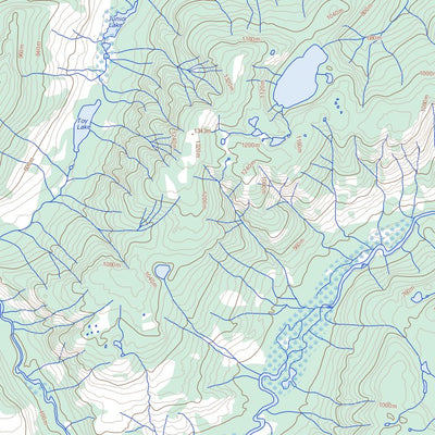 Great Central Lake (092F06 Toporama)