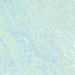 Unnamed, NT (095P09 Toporama)