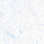 Unnamed, NT (098D08 Toporama)
