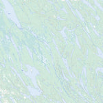 Lac Le Fer, QC (023O06 Toporama)