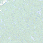 Lac Ruffin, QC (012M02 Toporama)