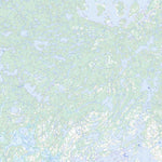 Baie-Des-Moutons, QC (012J14 Toporama)