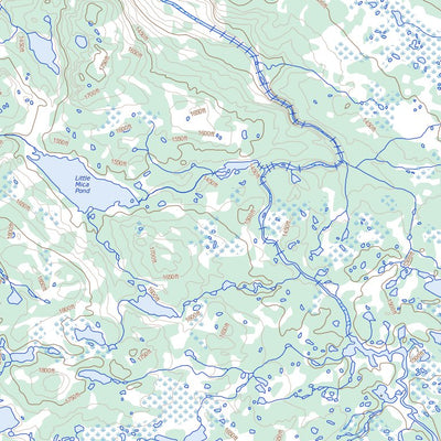 Dashwoods Pond, NL (012B01 Toporama)
