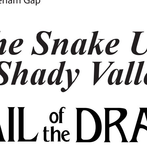 Snake 421 Route Map The Snake 421 Map by Tail of the Dragon, LLC | Avenza Maps