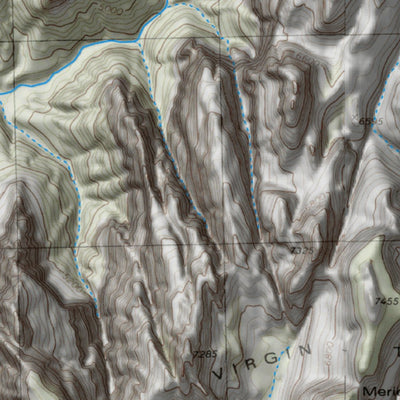 Zion Canyoneering & Hiking