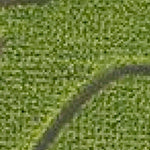 Conner Prairie Corn Maze 2017